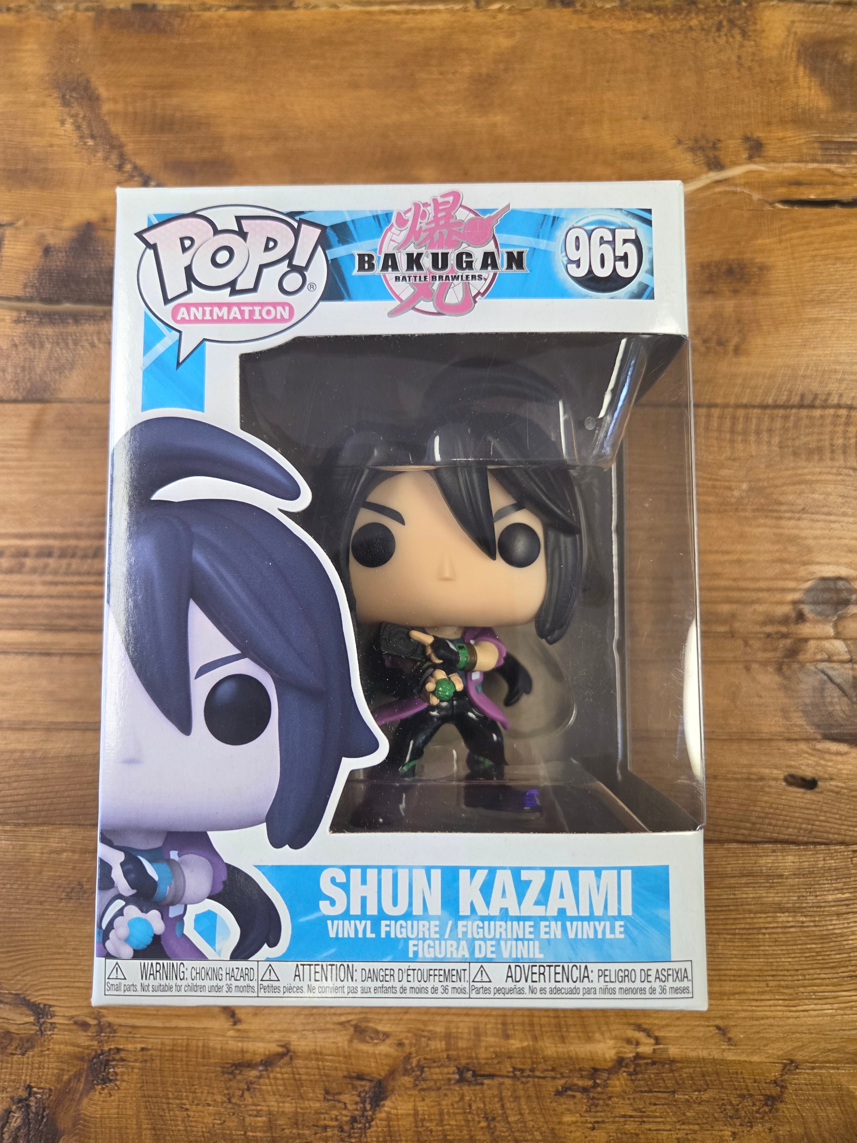 Shun Kazami