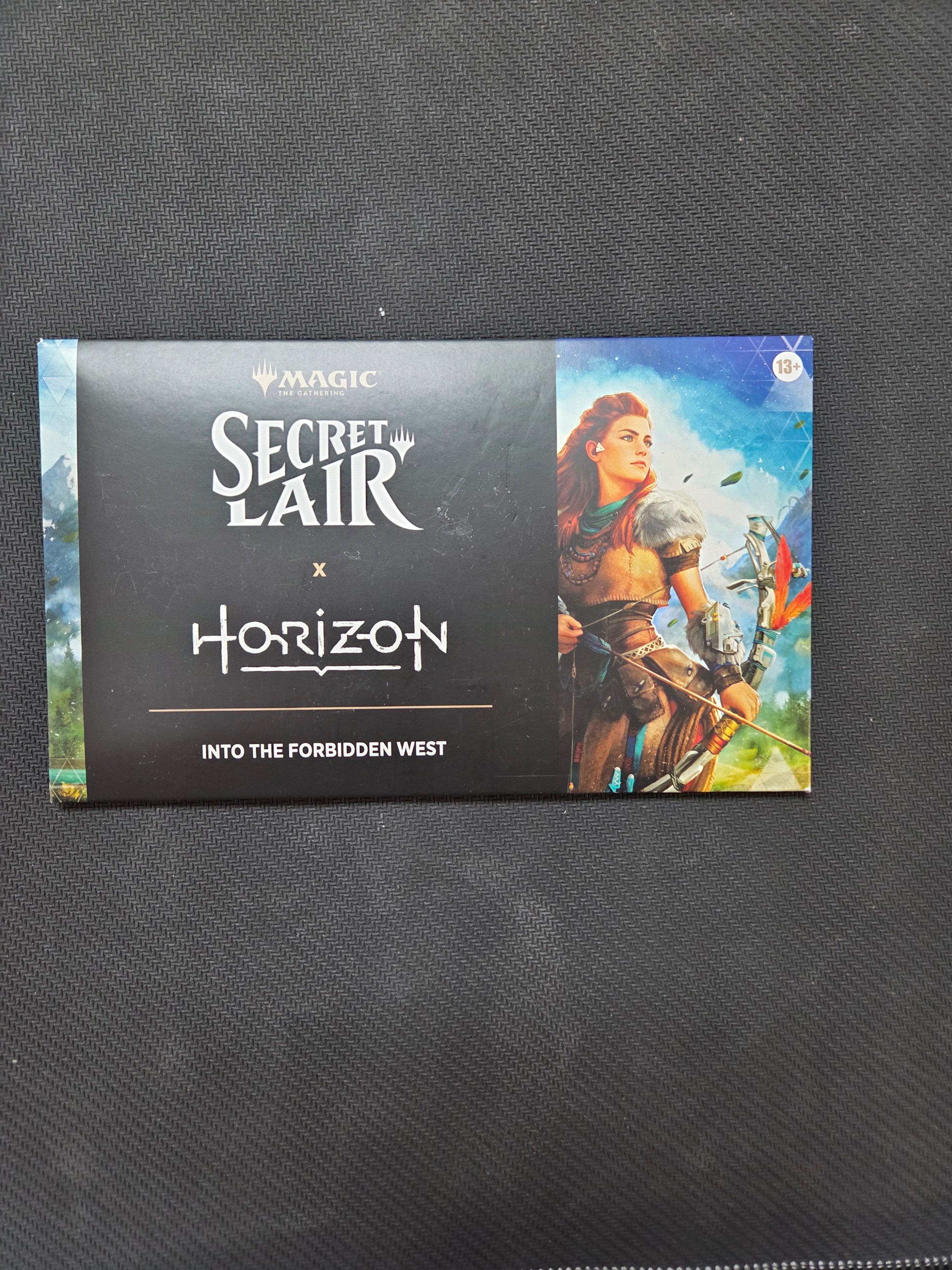 Horizon /into the forbidden west