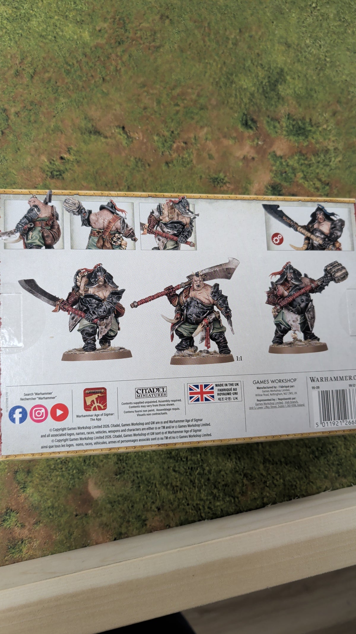 Ironguts Ogor Mawtribes