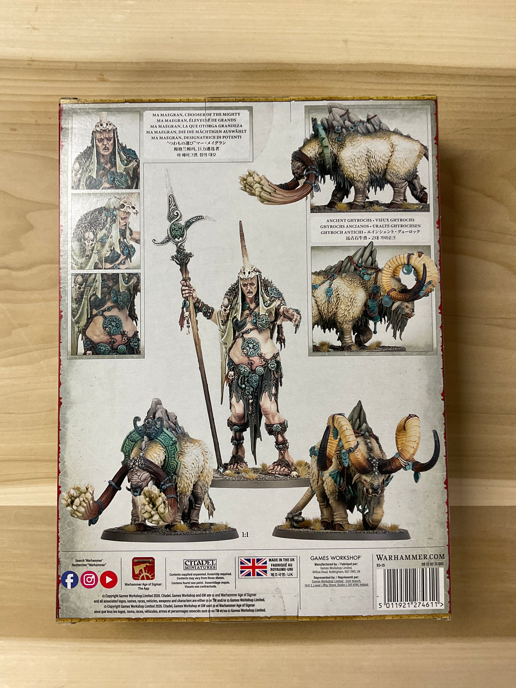 Warhammer Âge of Sigmar  Ma Maegran chooser of the mighty