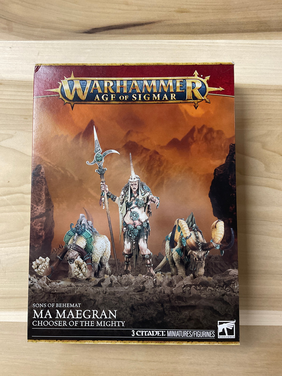 Warhammer Âge of Sigmar  Ma Maegran chooser of the mighty